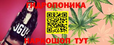 ПСИЛОЦИБИНОВЫЕ ГРИБЫ Гагарин