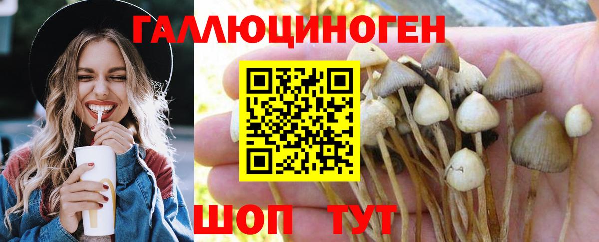 Нижний Тагил  Галлюциногенные грибы Psilocybe  Псилоцибиновые грибы GOLDEN TEACHER  Вход с VPN 